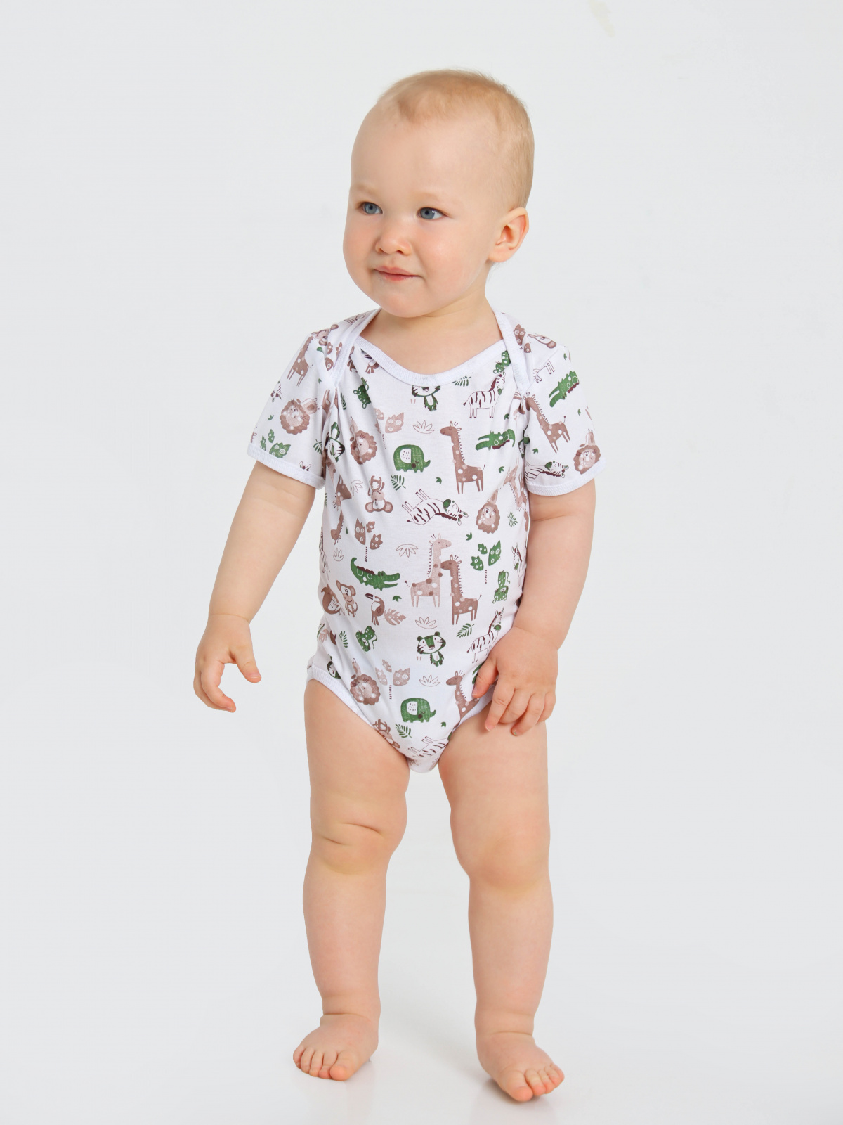 картинка Боди короткий рукав БД-КР/ассортимент от магазина Одежда+