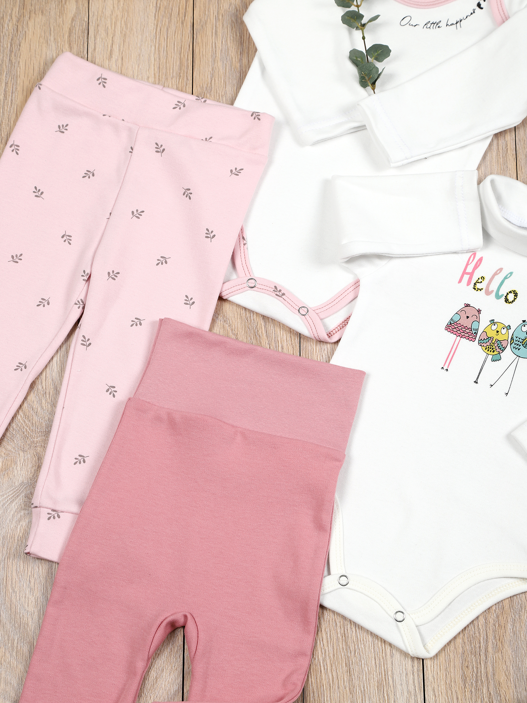 картинка Комплект одежды для новорожденных КТ-2БШ/птички веточки от магазина Одежда+