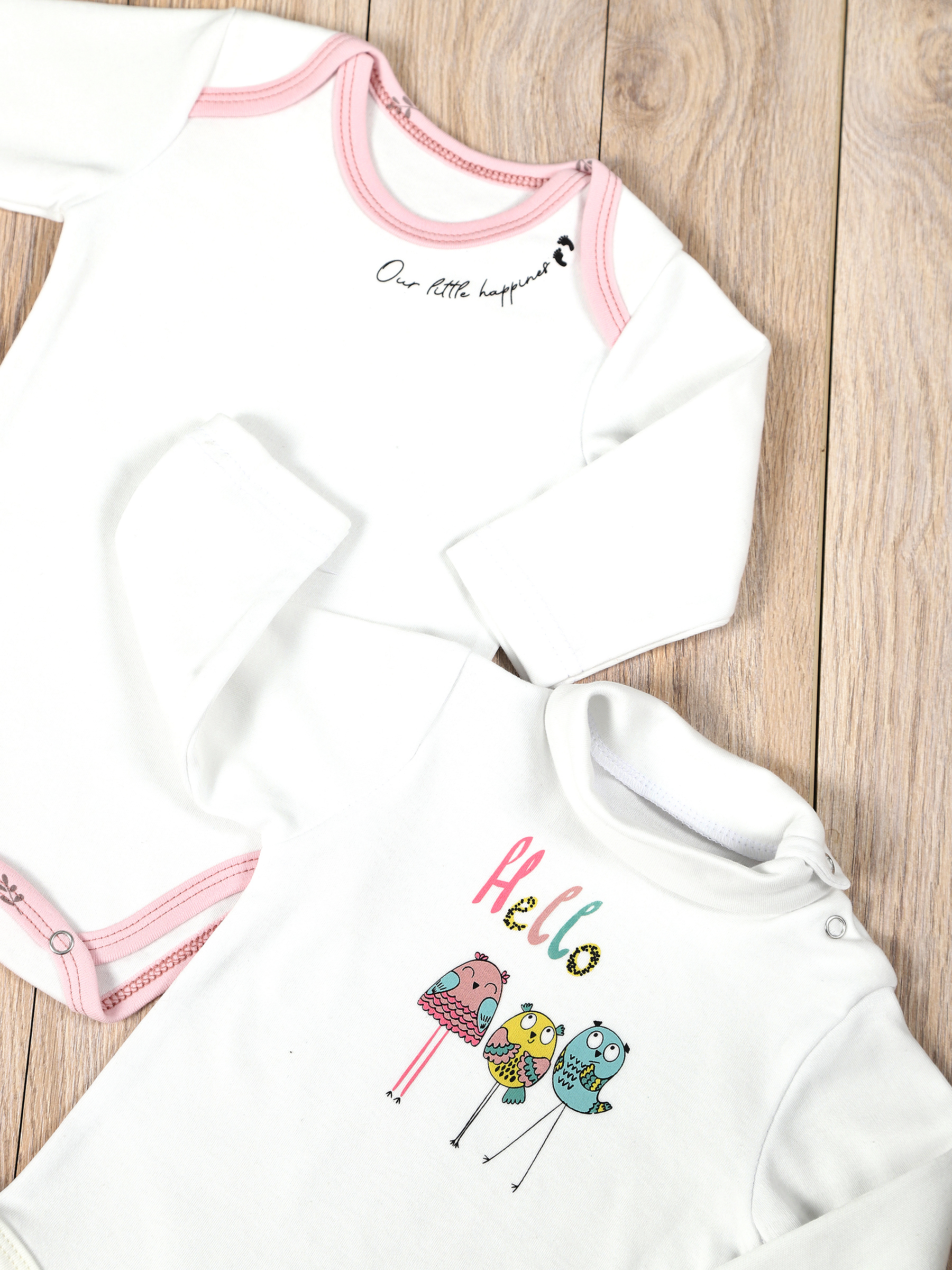 картинка Комплект одежды для новорожденных КТ-2БШ/птички веточки от магазина Одежда+