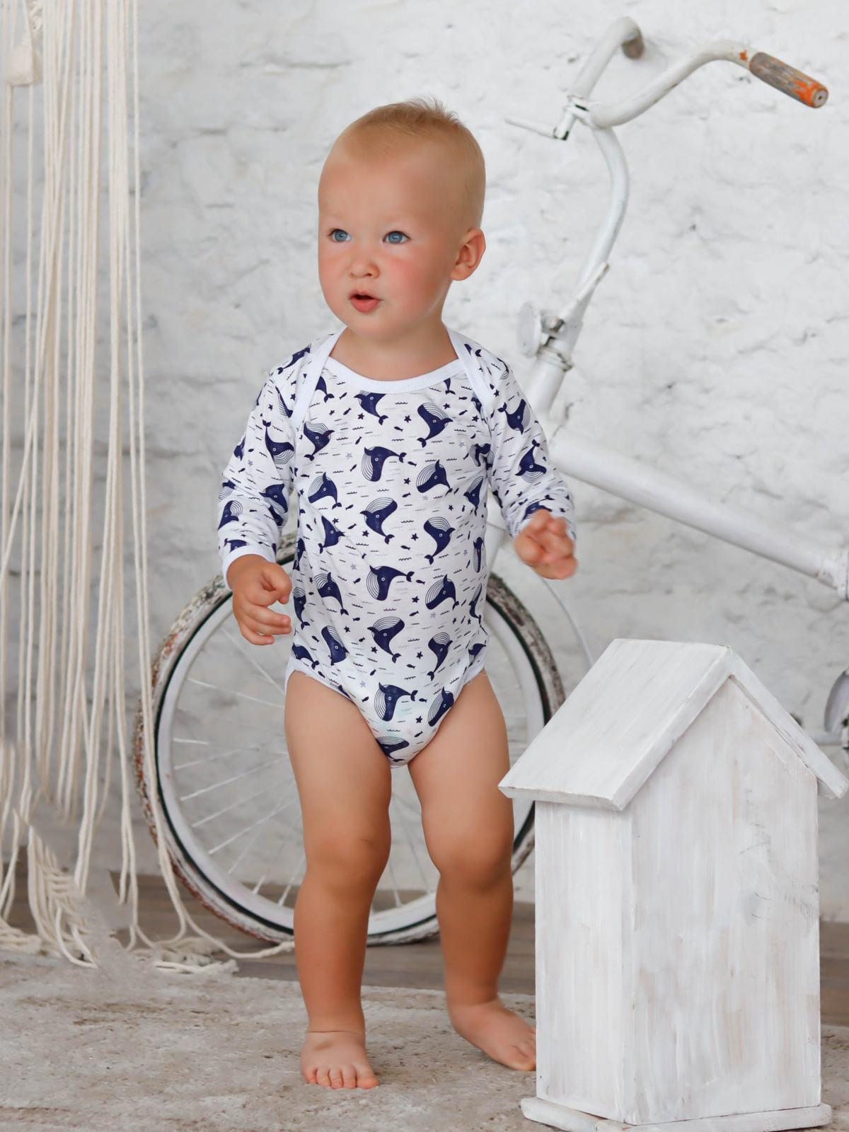 картинка Боди с длинным рукавом БД-03/ассортимент от магазина Одежда+