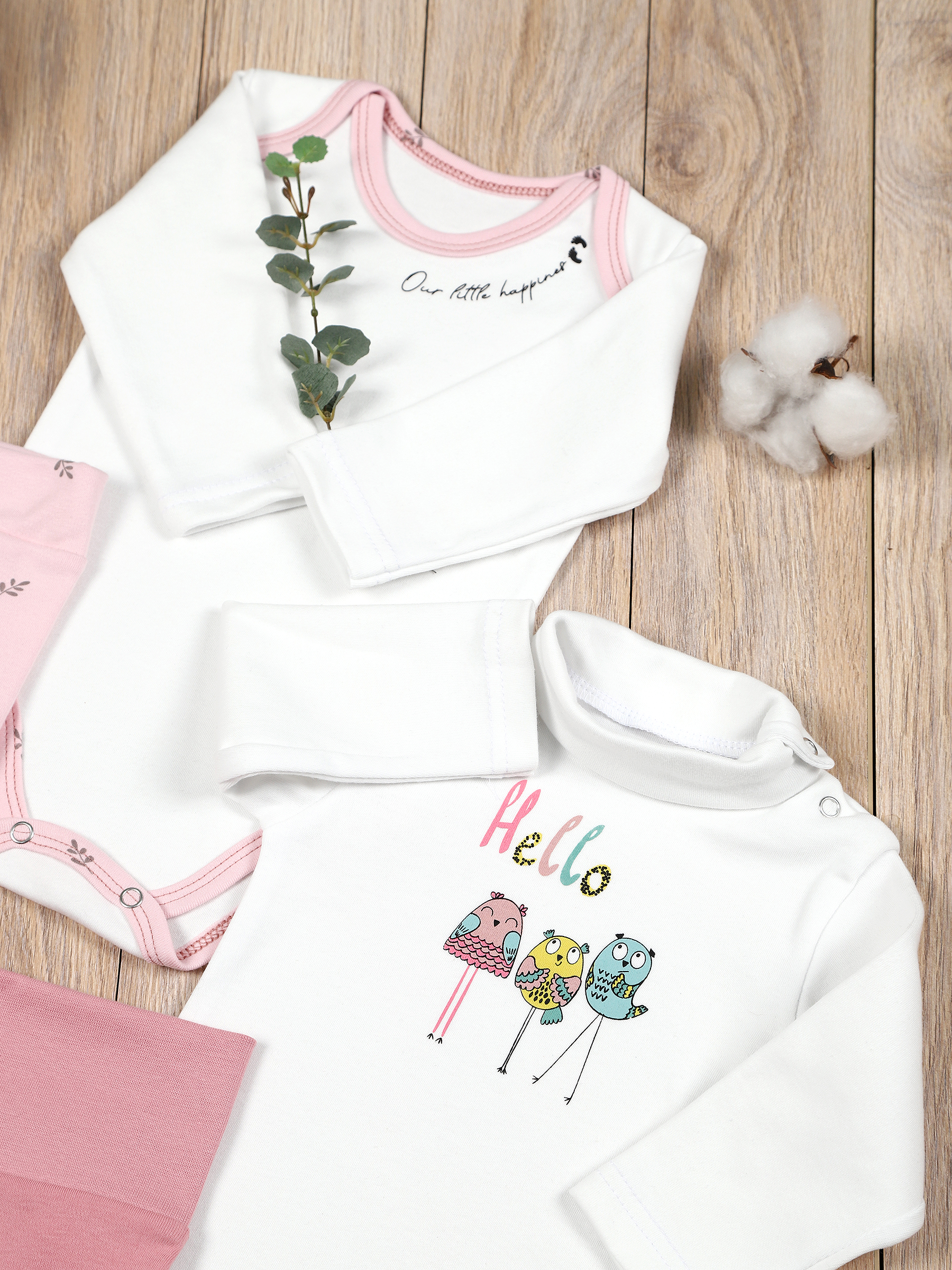 картинка Комплект одежды для новорожденных КТ-2БШ/птички веточки от магазина Одежда+