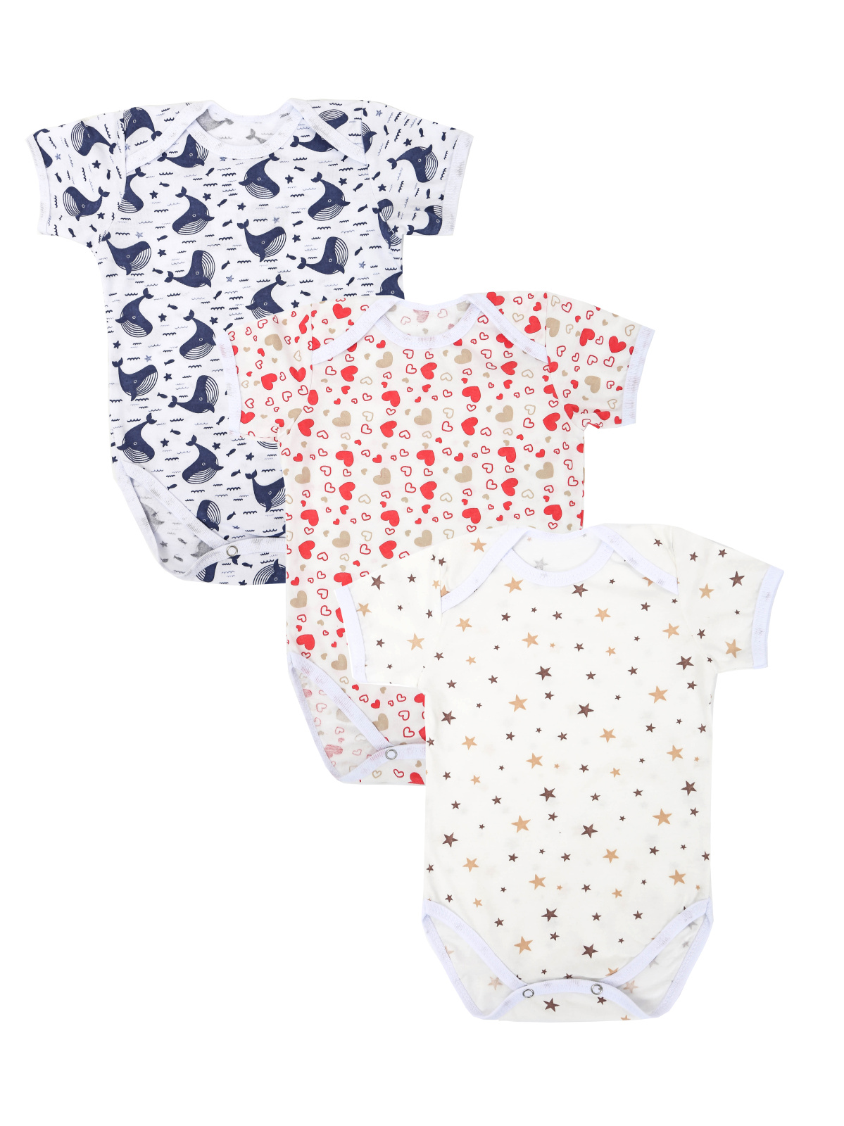 картинка Боди с коротким рукавом БД-03 от магазина Одежда+