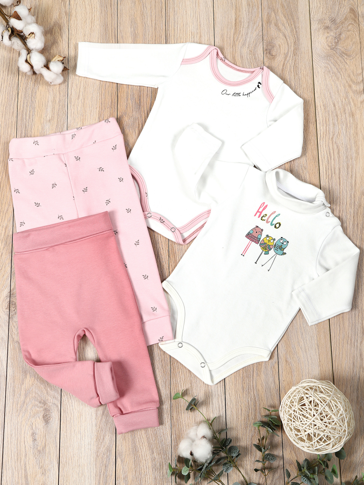 картинка Комплект одежды для новорожденных КТ-2БШ/птички веточки от магазина Одежда+