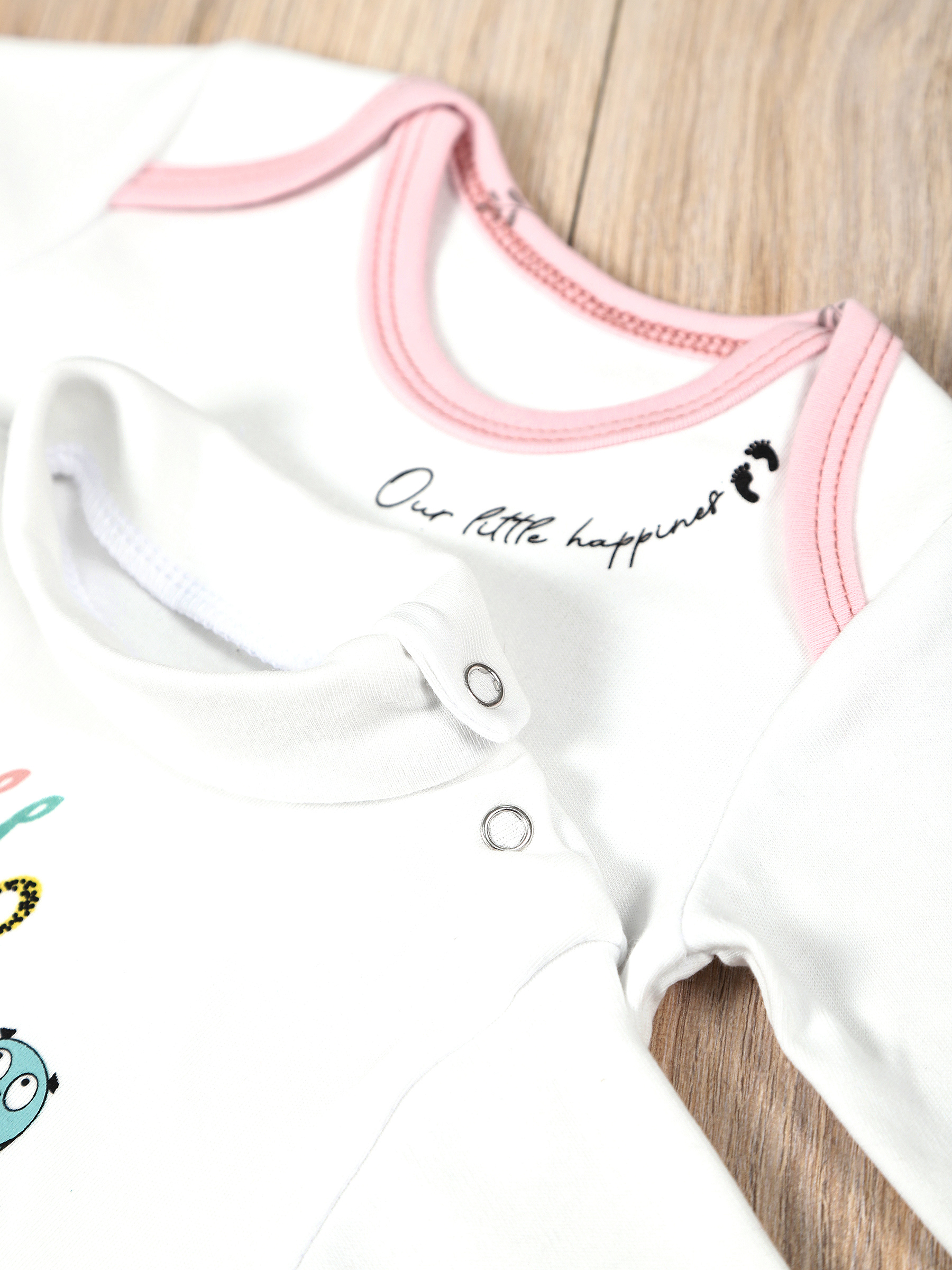 картинка Комплект одежды для новорожденных КТ-2БШ/птички веточки от магазина Одежда+