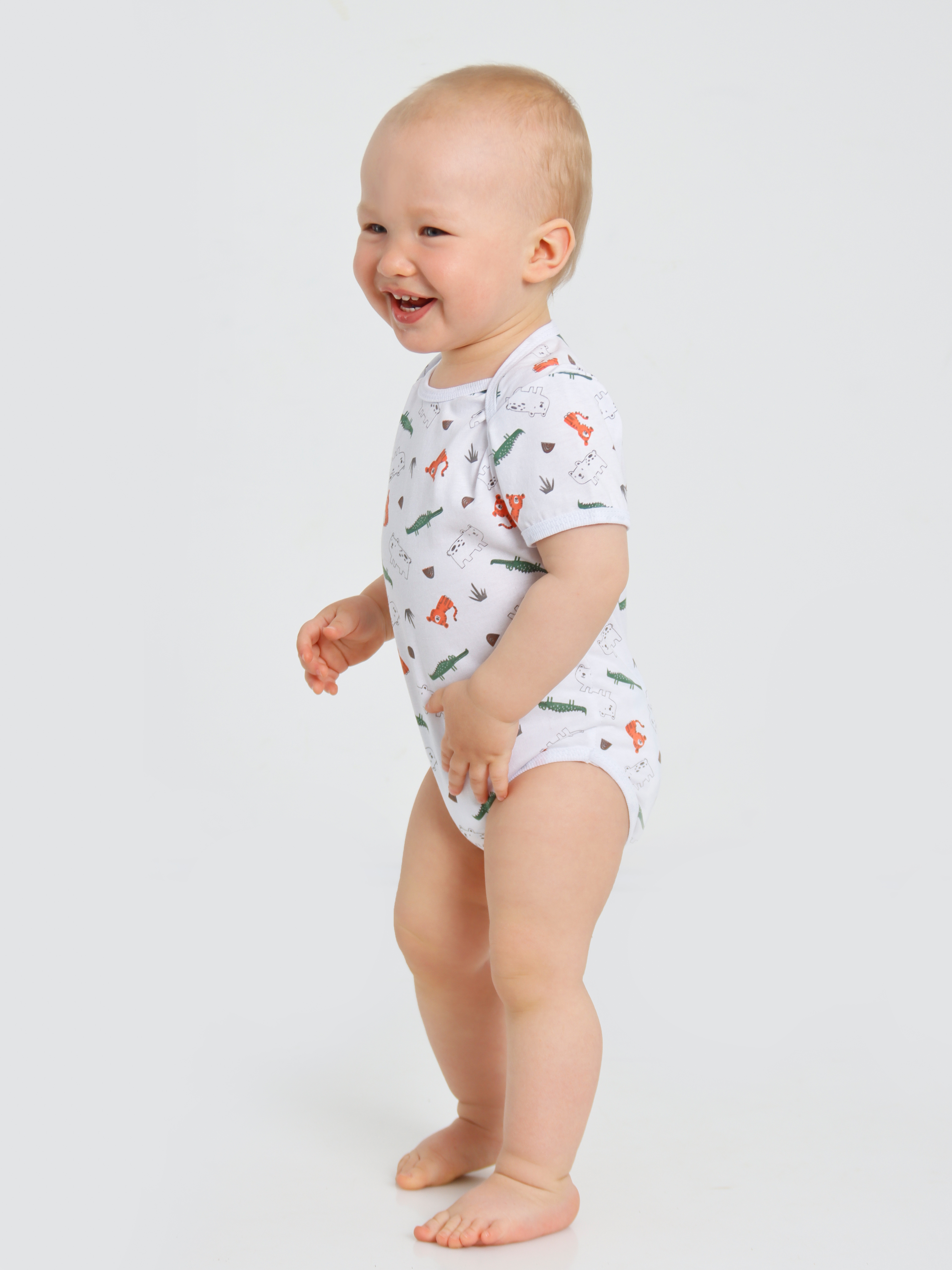 картинка Боди короткий рукав БД-КР/ассортимент от магазина Одежда+